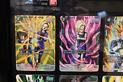 ꡼ No.020 | ONE PIECEɥ饴ܡ롤ǥʤɤΥɥब롣BANDAI CARD GAMES Fest23-24 World Tourץݡ