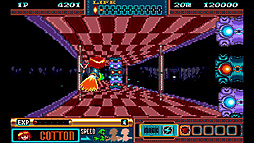 パノラマコットン