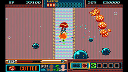 パノラマコットン