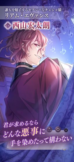 ꡼ No.004 |  ˤҤ餯