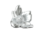 ���������꡼ No.012�Υ���ͥ������ / ���ܳ���22�����̾�꤬�о줹��֥�Υݥ꡼ �����ǡפ�ȯ���档���Ԥ򺸱�����2����Υ����ɤ�6����Υ��ꥸ�ʥ륳�ޤ����