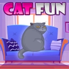 �ѥå�����