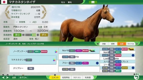 ꡼ No.012 | Winning Post 10׶Ϥξ󤬸ˡź쵳餬̾Ȥƻ