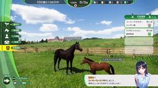 ꡼ No.010 | ꡼ǿWinning Post 10ȯ䡣ȯǰȤ3312030ۿͽ