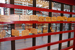 ꡼ No.003Υͥ / ֤ߤʤ زפϥߤȥҥȤʬ臘оη饤ۥ顼ˡȤϤ֤硼ɤΥץ쥼Ԥ줿ȯɽݡ