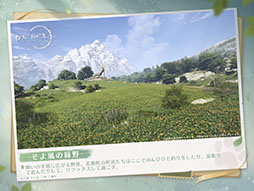 ꡼ No.005 | ֥ե˥ƥ˥ס125ۿƻDL򳫻ϡϿԿϥХ3000ͤ