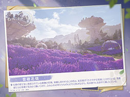 ꡼ No.006 | ֥ե˥ƥ˥ס125ۿƻDL򳫻ϡϿԿϥХ3000ͤ