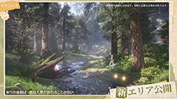 ꡼ No.007 | ֥ե˥ƥ˥ס125ۿƻDL򳫻ϡϿԿϥХ3000ͤ