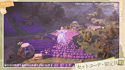 ꡼ No.012 | ֥ե˥ƥ˥ס125ۿƻDL򳫻ϡϿԿϥХ3000ͤ