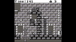 �ĥ����륷�꡼����Pearl Vs Grey