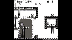 �ĥ����륷�꡼����Pearl Vs Grey