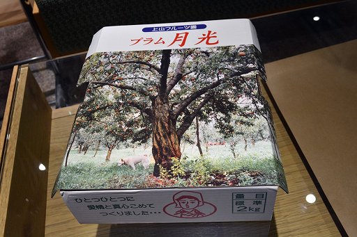 画像ギャラリー No.004のサムネイル画像 / 「ARMORED CORE VI」の発売を,果物界のムーンライトを食べながら待つ(「買い物Surfer」第19回)