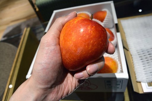 画像ギャラリー No.006のサムネイル画像 / 「ARMORED CORE VI」の発売を,果物界のムーンライトを食べながら待つ(「買い物Surfer」第19回)