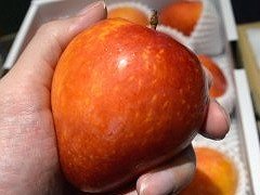 ��ARMORED CORE VI�פ�ȯ��򡤲�ʪ���Υࡼ��饤�Ȥ򿩤٤ʤ����Ԥġʡ��㤤ʪSurfer����19���