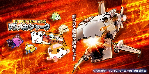 ꡼ No.037 | PRľάǥơ֤ȶȴ֥ԡɥåʡסPUI PUI 륫פȤΥܤ330ޤǳ