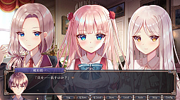 �ʥݥ쥪�󾯽� �Բ�ǽ�Ȥ���ʸ���Τʤ�����