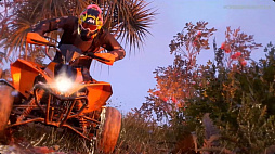 ꡼ No.005 | ֥ 롼⡼եץե꡼ȥ饤롤2023ǯ91417˼»ܷꡣ5ʬե륲ͤͷ٤