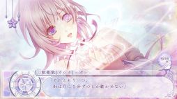 ꡼ No.024 | Υץ쥤ݡϥޥǡCendrillon palikAפθ׷Ūʡȿ¡ɤ줿饹γˤʪ줬ͷӤ䤹