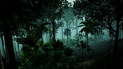 ��ε���֤����θ��������VR