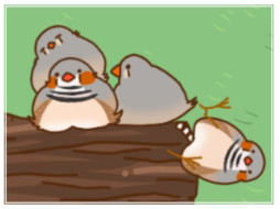 ���������꡼ No.009�Υ���ͥ������ / �֤᡼����������2��17���˥�꡼���������С��ɥ����å��󥰥�����