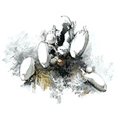 画像ギャラリー No.003のサムネイル画像 / 「サンバDEアミーゴ:パーティーセントラル」本日リリース。マラカスに見立てたJoy-Conでバラエティに富んだ楽曲をプレイできる