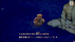 ꡼ No.021 | Υץ쥤ݡϥۥ顼ADV֥ѥΥޥȡפϡɤԤμХȥPCơɤʤɥ᥿¿