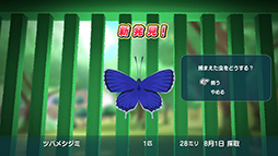 ���������꡼ No.013�Υ���ͥ������ / �֤ʤĤ�� 20�����βƵ٤ߡס������������ǤΡ������ɤ䥢���ƥࡤ���������Ĥα�Ф˴ؤ����������