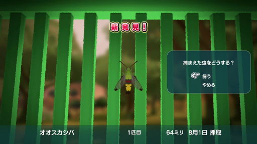 ���������꡼ No.017�Υ���ͥ������ / �Υץ쥤��ݡϡ֤ʤĤ�� ���������βƵ٤ߡפ���Φ���θ�������������¤�©�ҤȤʤäơ������ץ���ɤΡ֤�⤮Į�פǲƤλפ��Ф�������