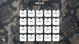 ꡼ No.006 | Switchѥեȡ֥ԥ饤2󡦥ȥѥСס̤ϿΥѥڤθǤȡѥѥåۿ