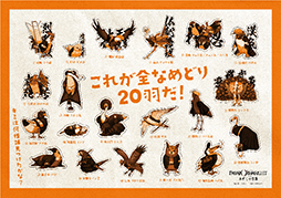 ꡼ No.025 | ֥ѥΥޥ FILE23 ܽ꼷Ի׵ġץܥեŹ⥤᡼ȥ˥塼ͽդⳫ