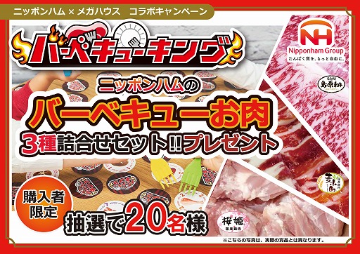 ���������꡼ No.006�Υ���ͥ������ / �ե������ǥ����ɤ���礦����ܥɥ��֥С��٥��塼���󥰡פ�2�����ȯ���