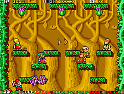 ���������ɥ��������֥� �ɥ�ɥ��ɥ�