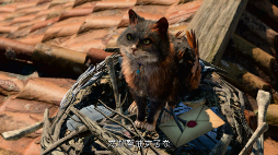 ���������꡼ No.004�Υ���ͥ������ / �֥Х��������������3�ץ�꡼���ƥ������ȥ쥤�顼����������ޥ󥹥�����ޤ��������ͻҤ���ǧ�Ǥ���