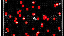 SHOTGUN ONLY SHOOTING