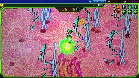 ꡼ No.004 | ΤʥΥޥȤʤäƽɼȥ⤫ɥ饤ACTPetit Petit Petitȯɽ3Steam꡼򳫻ͽ