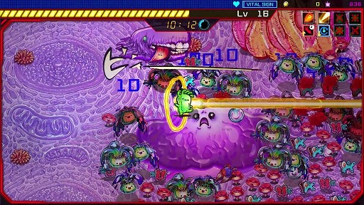 ꡼ No.023 | ΤʥΥޥȤʤäƽɼȥ⤫ɥ饤ACTPetit Petit Petitȯɽ3Steam꡼򳫻ͽ