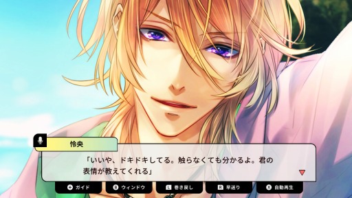 ���������꡼ No.001�Υ���ͥ������ / ����SLG���ɥɥ���� �����ƤΥ�����ˡ���Switch������������꡼��