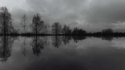 画像ギャラリー No.005のサムネイル画像 / 狂暴なモンスターが生息する国境地帯で戦うサバイバルFPS「Road to Vostok」,開発進捗状況を報告する最新トレイラーが公開に