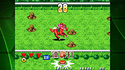 ステークスウィナー アケアカNEOGEO