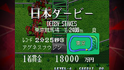 ステークスウィナー アケアカNEOGEO