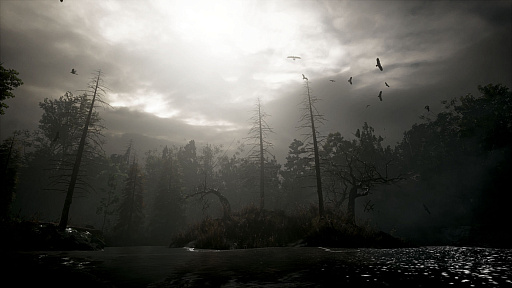 ꡼ No.004Υͥ / ۥ顼Stray SoulsפΥȥݡȤơ֥ȥҥץ꡼κʲȡ ᤬