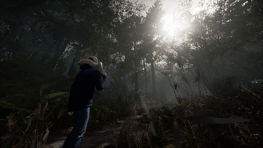 ꡼ No.007Υͥ / ۥ顼Stray SoulsפΥȥݡȤơ֥ȥҥץ꡼κʲȡ ᤬