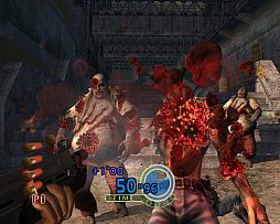 ꡼ No.004 |  ֥ϥ֡ǥåɡס3٤αǲ貽ˡ󥷥塼Υԡɴ褫