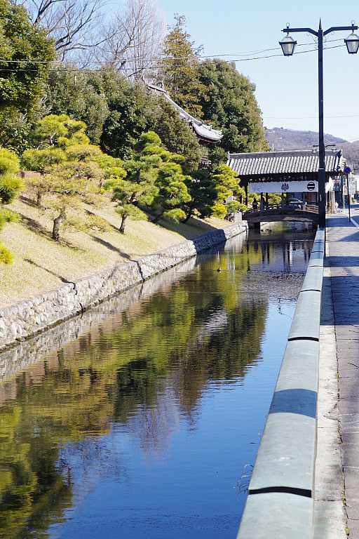 ꡼ No.020 | ĹγǡֿĹ˾ пءץץǥ塼ξ޸᤬⤯ ­ԹȤΥܤ¸ֽпءפȾǯ⡩