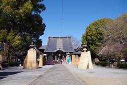 ꡼ No.022 | ĹγǡֿĹ˾ пءץץǥ塼ξ޸᤬⤯ ­ԹȤΥܤ¸ֽпءפȾǯ⡩