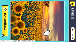 ����!�̿��Ǵְ㤤õ����ͷ�٤Ƴؤ٤�!���󤿤�ڤ���Ǿ�ȥ쥯���������ࡼ