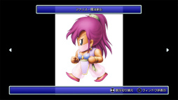 ꡼ No.029 | ֥եʥե󥿥 ԥޥ6ʤPS4Switchо졣RPGζؤȤĤʤ꡼̥ϤŰ