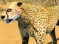 VR動物パズルゲーム「Animal Jigsaw VR」，無料体験版を配信中。パズルを完成させると，動物がリアルな3Dモデルとなって登場