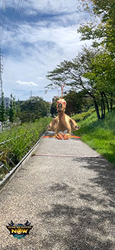 画像ギャラリー No.006のサムネイル画像 / 現実世界で一狩りいこうぜ。位置情報やARを活用した新作「モンスターハンターNow」,正式サービスを本日開始