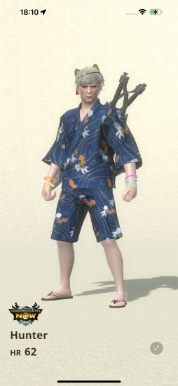 ꡼ No.014 | ֥󥹥ϥ󥿡NowפοͶˢαפ褤襹ȡǥθ餫ˤʤä˾Ҳ